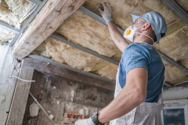 Best Insulation Maintenance and Repair in Windsor Heights, IA